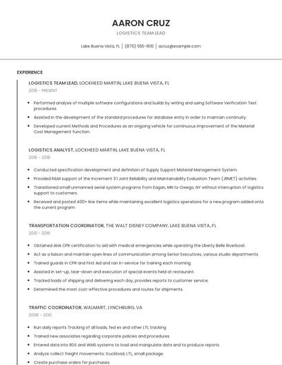 Logistics Team Lead Resume