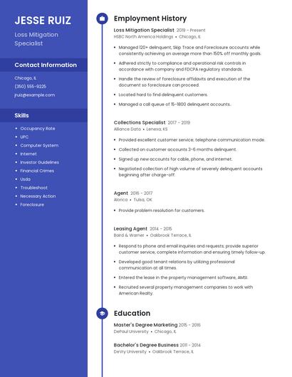 Resume example 4