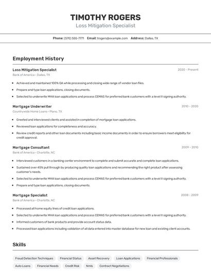 Resume example 2