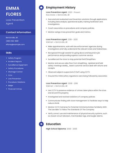 Resume example 4