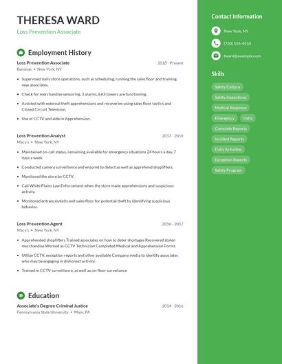Resume example 4