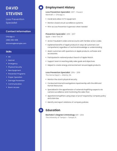 Resume example 5