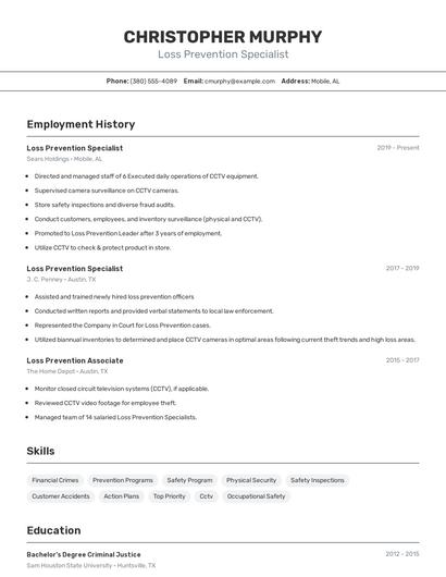 Resume example 2