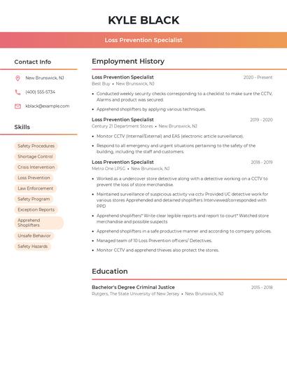 Resume example 3