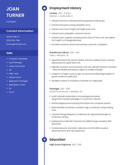 Resume example 5