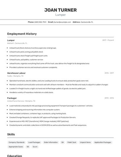 Resume example 2