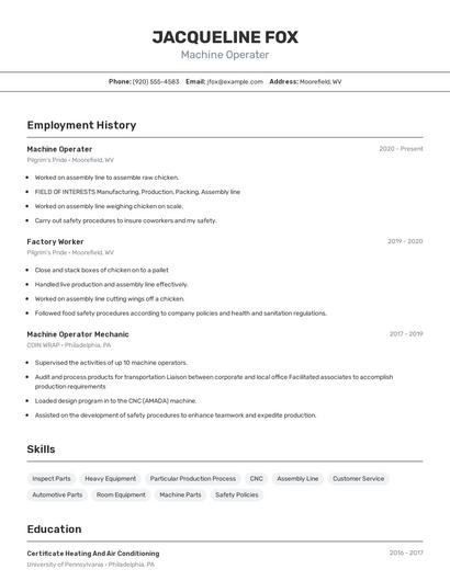 Resume example 2