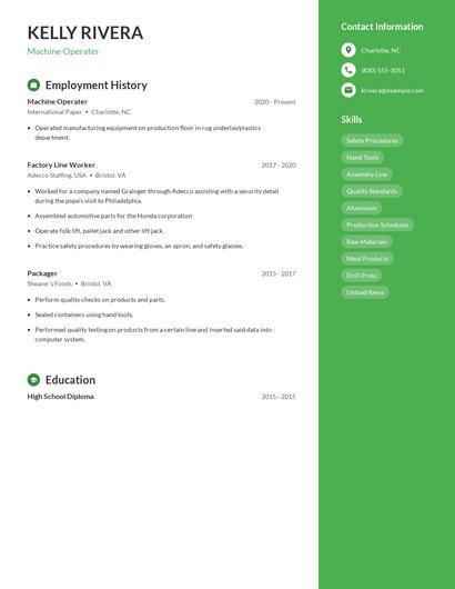 Resume example 4
