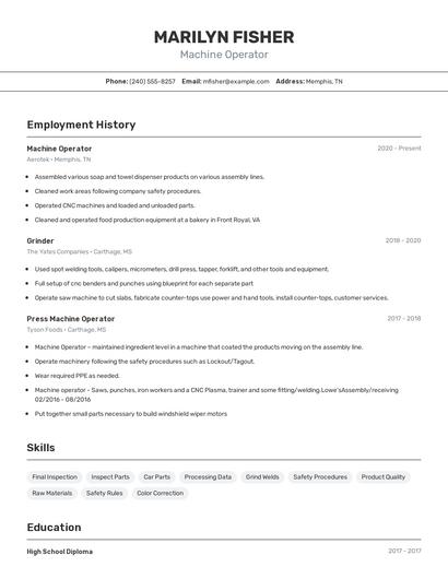Resume example 2