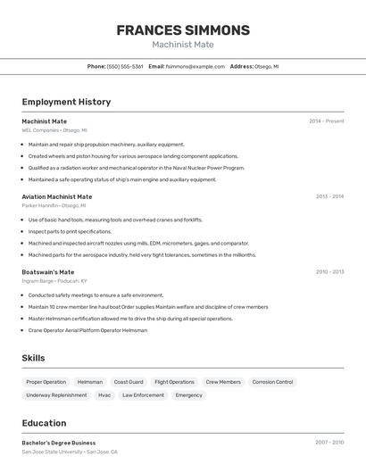 Resume example 2