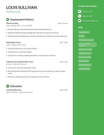 Resume example 5