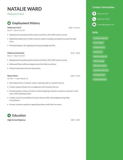 Resume example 4