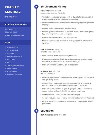 Resume example 4