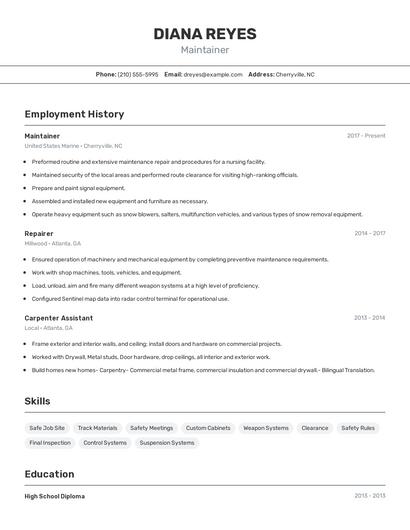 Resume example 2