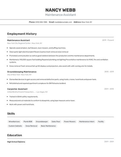 Resume example 2