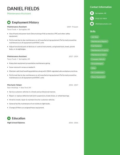 Resume example 5