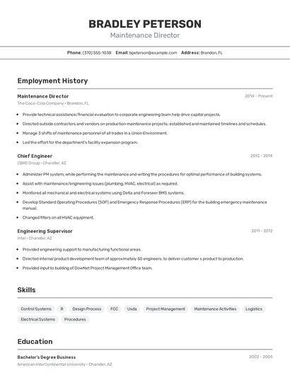 Resume example 2