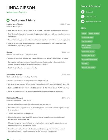 Resume example 4