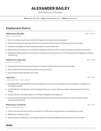 Resume example 2