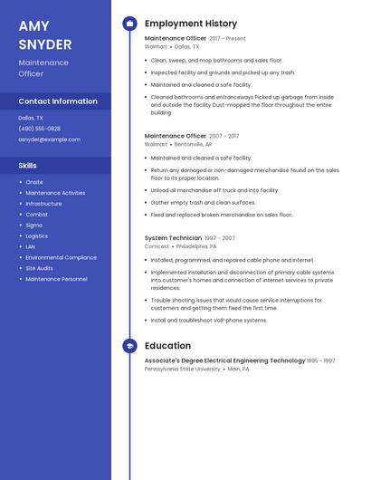 Resume example 4