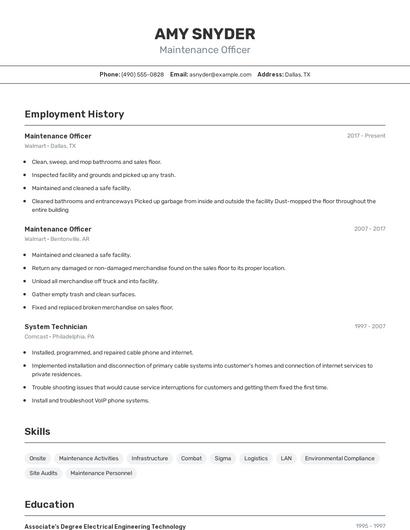 Resume example 2