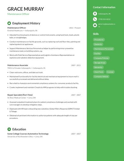 Resume example 5