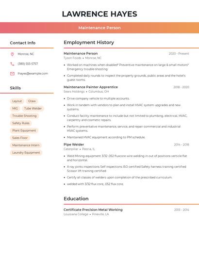 Resume example 3