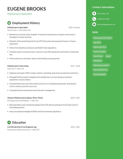 Resume example 4