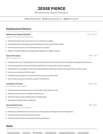 Resume example 2