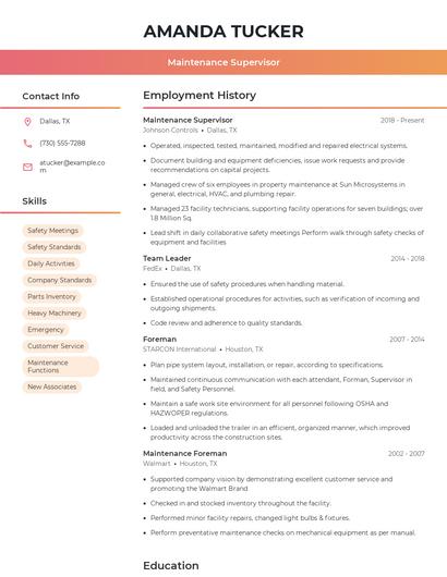 Resume example 3