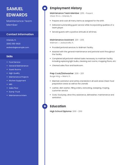 Resume example 4