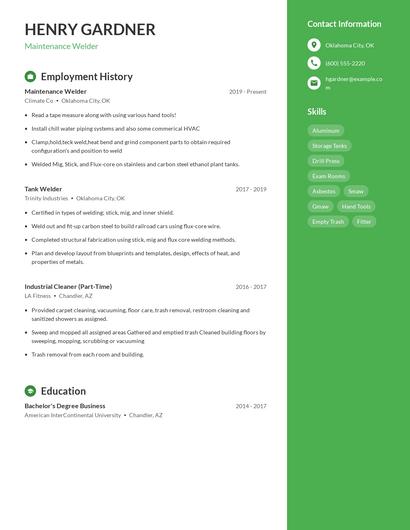 Resume example 5