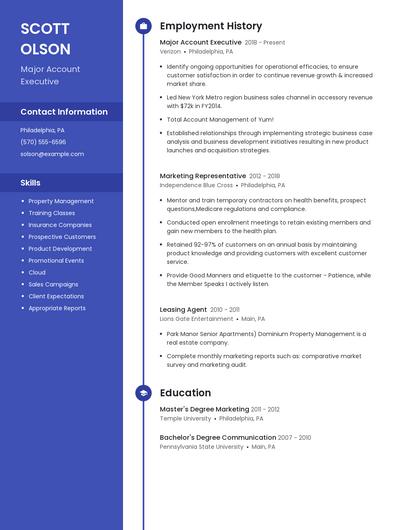 Major Account Executive Resume