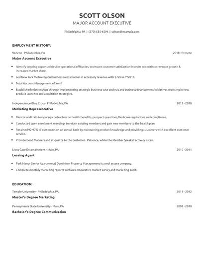 Major Account Executive Resume