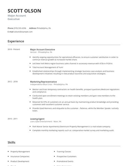 Major Account Executive Resume
