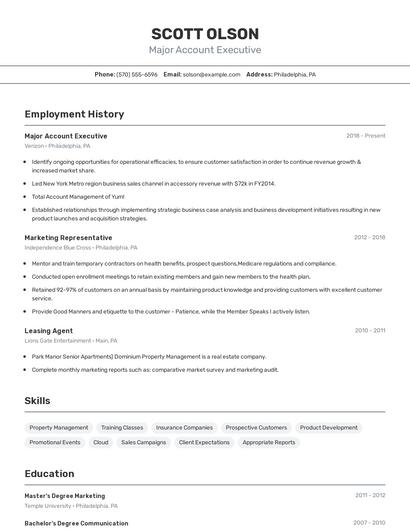 Major Account Executive Resume