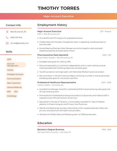 Major Account Executive Resume