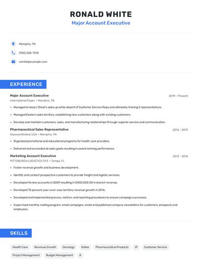 Major Account Executive Resume