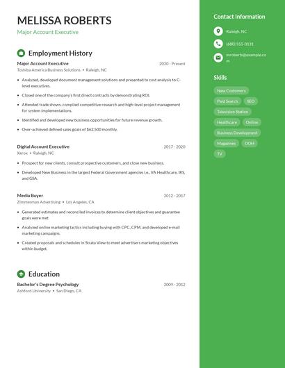 Major Account Executive Resume