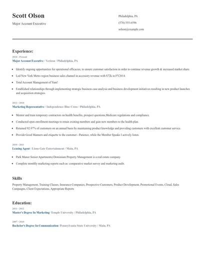 Major Account Executive Resume