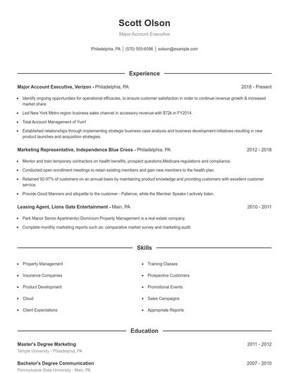 Major Account Executive Resume