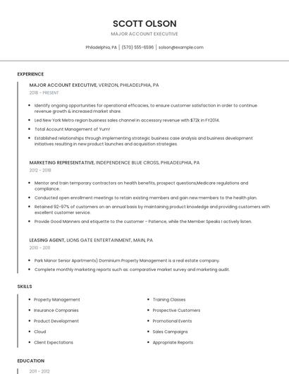 Major Account Executive Resume