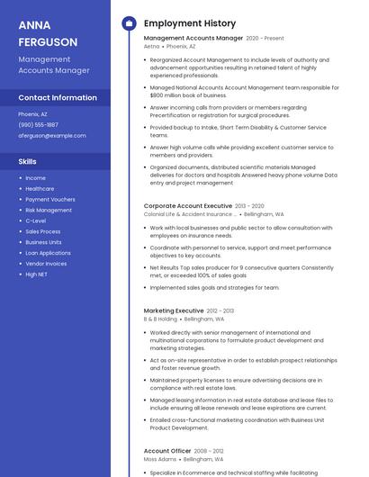 Resume example 5