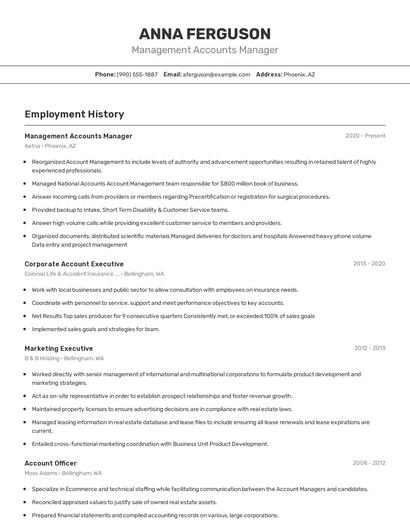 Resume example 2