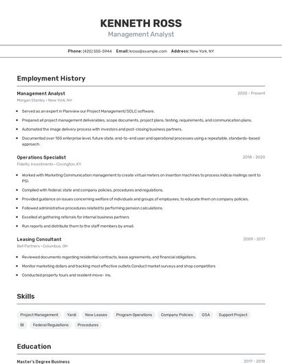 Resume example 2