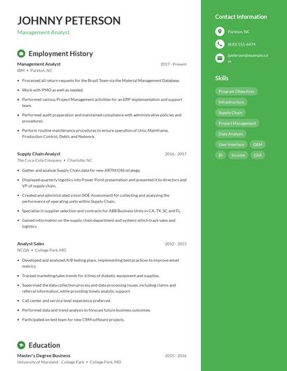 Resume example 5