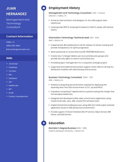 Management And Technology Consultant Resume