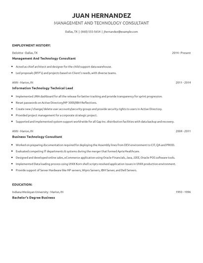 Management And Technology Consultant Resume