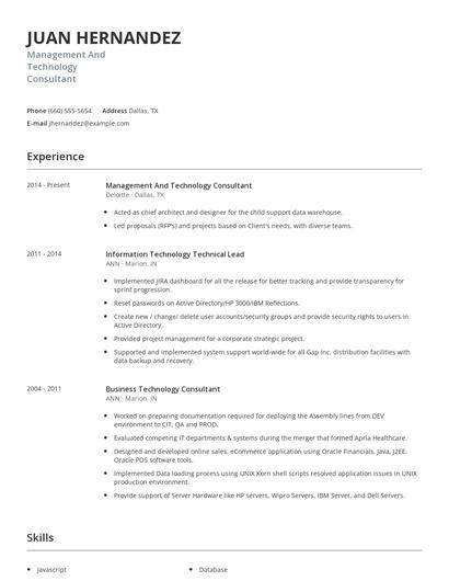 Management And Technology Consultant Resume