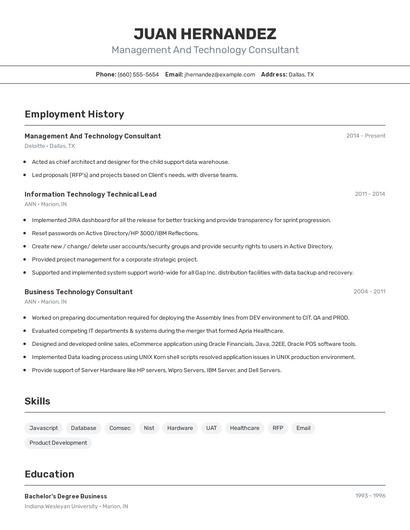 Management And Technology Consultant Resume